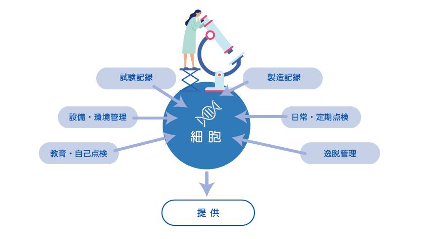  品質保証システムの確立